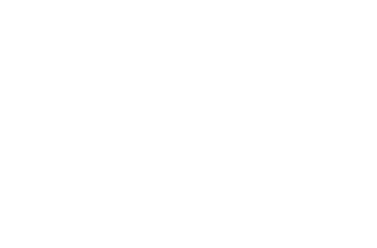 Exemius Logo